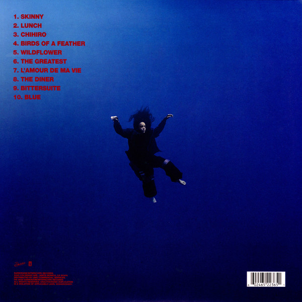 Billie Eilish - Hit Me Hard And Soft | Darkroom (602465223651) - 3