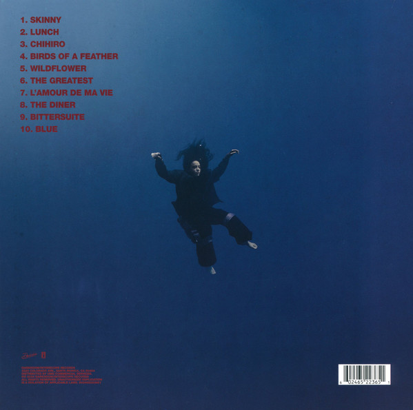 Billie Eilish - Hit Me Hard And Soft | Darkroom (602465223651) - 3