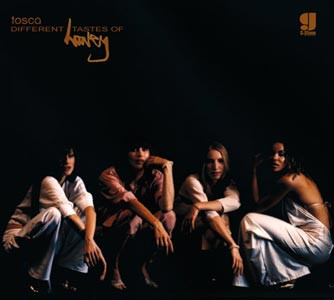Tosca - Different Tastes Of Honey | G-Stone Recordings (G-Stone 12 022) - main