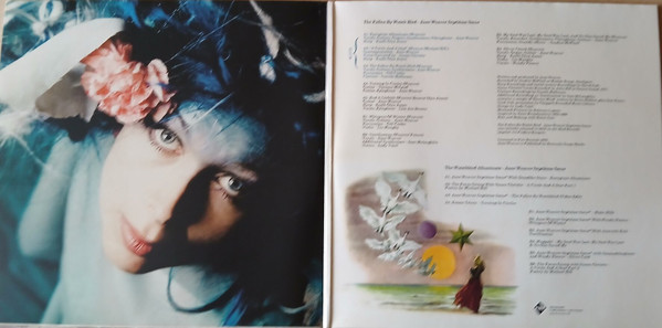 Jane Weaver - The Fallen By Watch Bird (Expanded Edition) | Fire Records (FIRELP796) - 2 Jane Weaver - The Fallen By Watch Bird (Expanded Edition) | Fire Records (FIRELP796) - 2