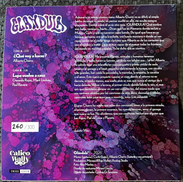 Glándula - ¿Que Voy A Hacer? | Calico Wally (CW008) - 2