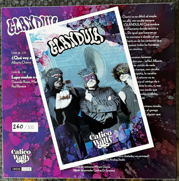 Glándula - ¿Que Voy A Hacer? | Calico Wally (CW008) - 3