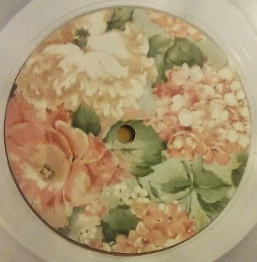 Chastity Belt - Time To Go Home | Hardly Art (HAR-086) - 4