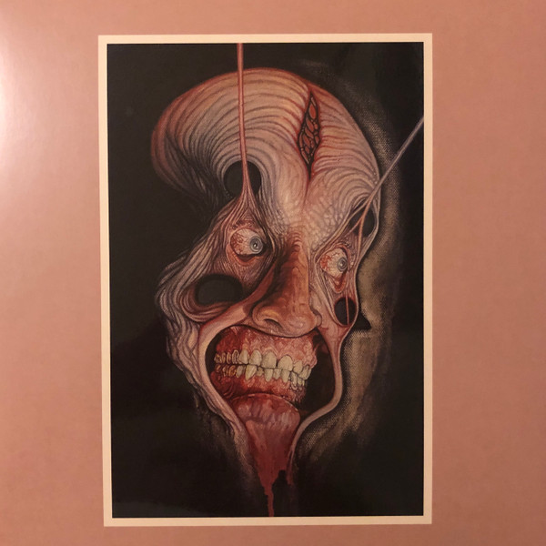 Kollapse - Sult | Fysisk Format (FY158LP)