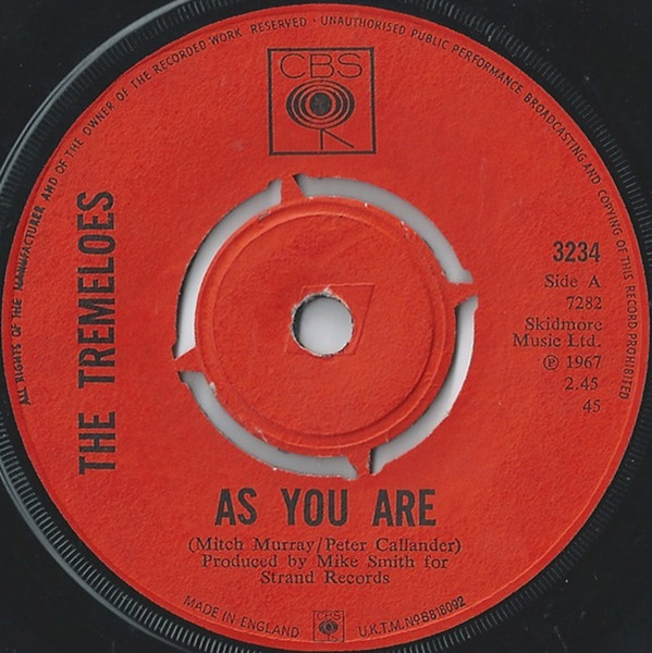 The Tremeloes - Suddenly You Love Me / As You Are | CBS (3234) - 2