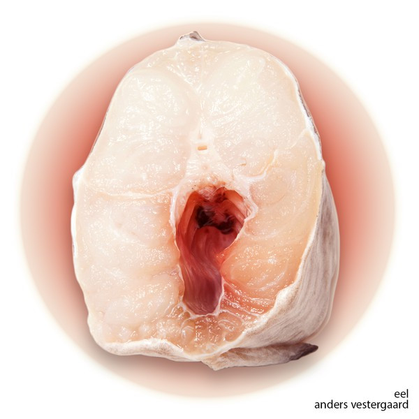 Anders Vestergaard - eel | Abstract Tits (AT003)