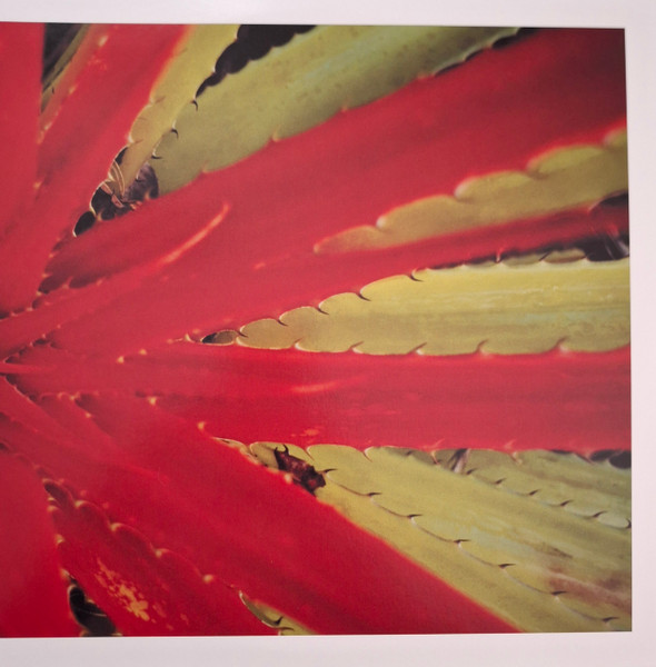 Jejune - This Afternoons Malady | Numero Group (NUM937)