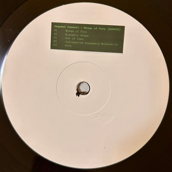 Sequent Consult - Wings Of Fury | Airbrush (AIR002) - 3