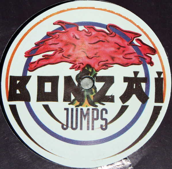 The Platidudinarian Doctors - Symptomatology | Bonzai Jumps (BJ 94003) - 2 The Platidudinarian Doctors - Symptomatology | Bonzai Jumps (BJ 94003) - 2