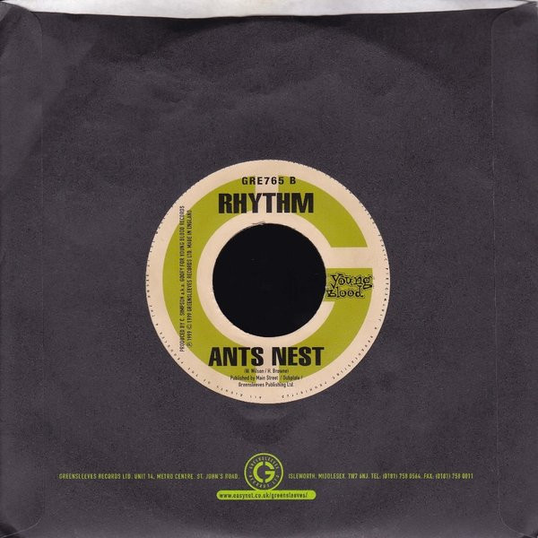 Beenie Man - 100 Dollar Bag | Greensleeves Records (GRE765) - 4