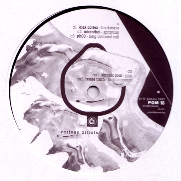 Various - 13 Years Compilation | Pomelo (pom16)