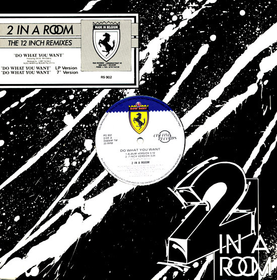 2 In A Room - Do What You Want (The 12 Inch Remixes) | R & S Records (RS 902)