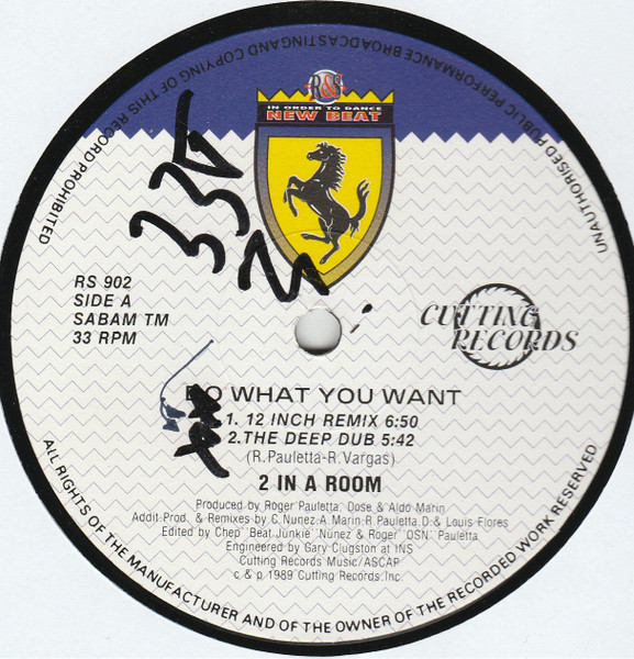 2 In A Room - Do What You Want (The 12 Inch Remixes) | R & S Records (RS 902) - 3