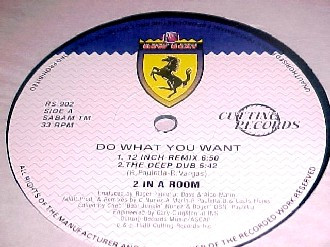 2 In A Room - Do What You Want (The 12 Inch Remixes) | R & S Records (RS 902) - 2