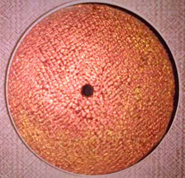 EMG - 21/12/12 | Experiential Learning (EL-003)