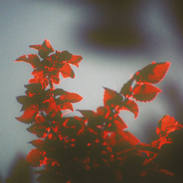 Ssiege - Meteora | Knekelhuis (KH035) Ssiege - Meteora | Knekelhuis (KH035)