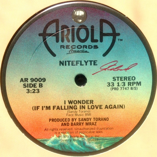 Niteflyte - If You Want It / I Wonder (If I'm Falling In Love Again) | Ariola Records America (AR 9009) - 2