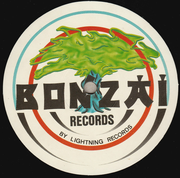 Dream Your Dream - II - The Belgica Wave Anthem | Bonzai Records (BR 93039) - 3