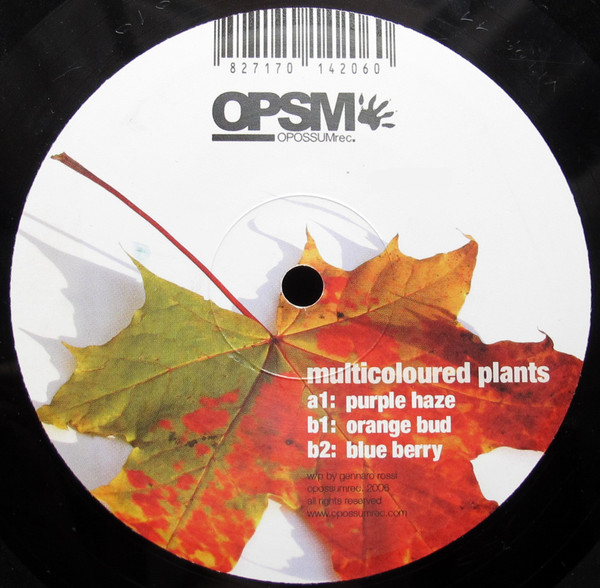 Gennaro Rossi - Multicoloured Plants | Opossum Recordings (OPSM010) Gennaro Rossi - Multicoloured Plants | Opossum Recordings (OPSM010)