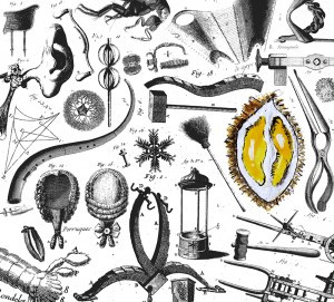 Pochette de Durio Zibethinus — Poissons Frais