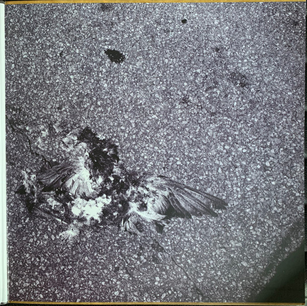 Godspeed You Black Emperor! - 'Allelujah! Don't Bend Ascend | Constellation (CST081-1) - 3 Godspeed You Black Emperor! - 'Allelujah! Don't Bend Ascend | Constellation (CST081-1) - 3