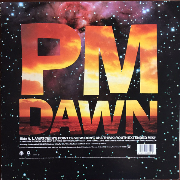 P.M. Dawn - A Watcher's Point Of View (Don't Cha Think) | Gee Street (422-868 319-1)