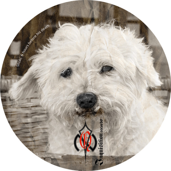 Inquisitive Judgement - Catharsis | Inquisition Records (Inq 3) - 4