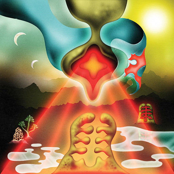 Hieroglyphic Being - Le Jardin Des Chemins Bifurquants | audioMER. (audioMER.008.LP)