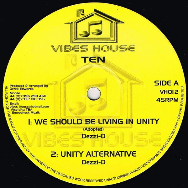 Dezzi D / Brushy One String - We Should Be Living In Unity / Fire In Thier Souls | Vibes House (VH012)