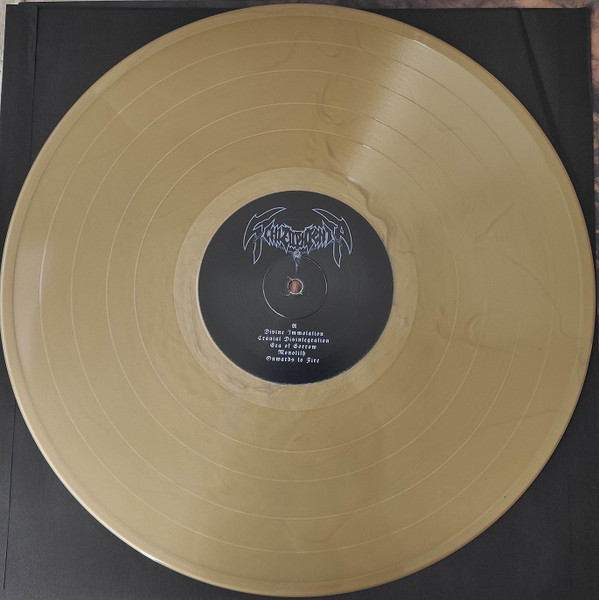 Schizophrenia - Recollections Of The Insane | Not On Label (Schizophrenia  Self-released) (none) - 4