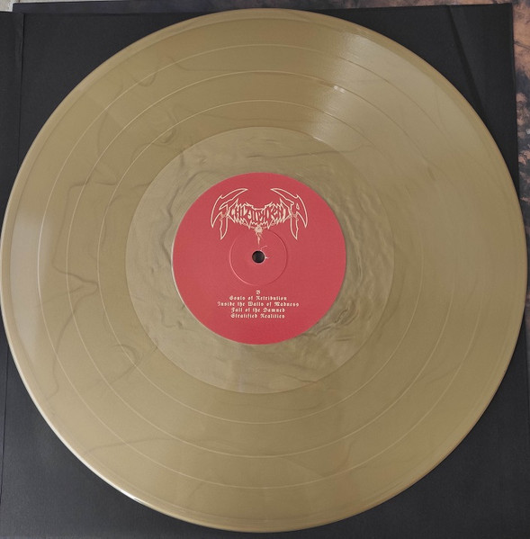 Schizophrenia - Recollections Of The Insane | Not On Label (Schizophrenia  Self-released) (none) - 3