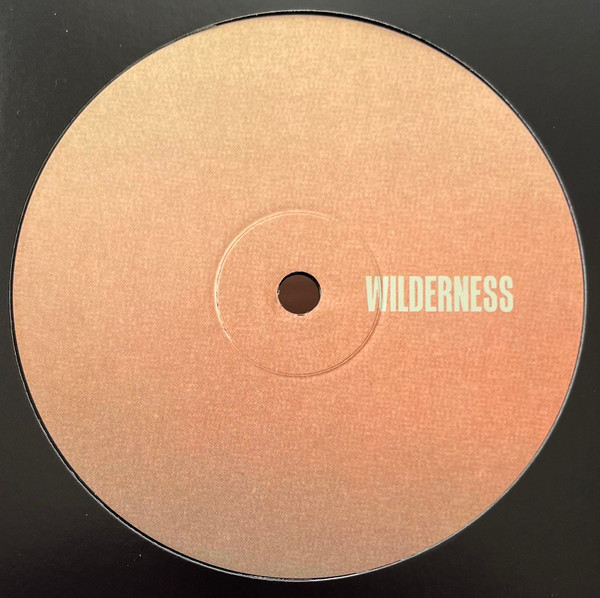 Response & Pliskin - Seabeams EP | Wilderness (WILDERNESS002) - 2 Response & Pliskin - Seabeams EP | Wilderness (WILDERNESS002) - 2