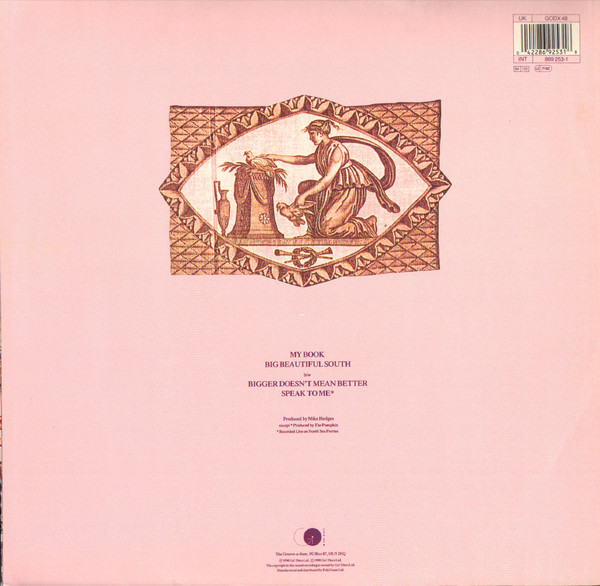 The Beautiful South - My Book | Go! Discs (GODX 48) - 2