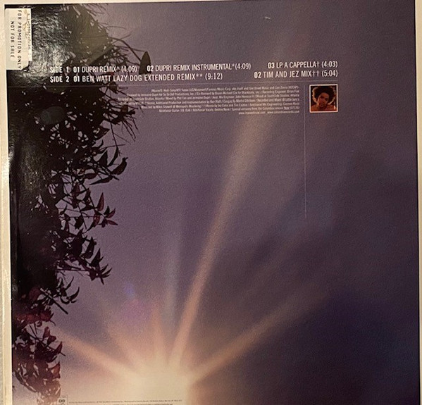 Maxwell - Lifetime | Columbia (44 79640) - 2