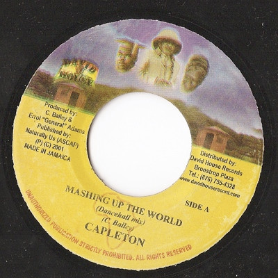 Capleton - Mashing Up The World | David House (none)