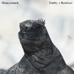 Honeysmack - Entity + Remixes | Awesome Soundwave (ASWR028) - main