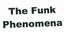 Armand Van Helden - The Funk Phenomena | Wicked Disco Diamonds (WDD058) - main