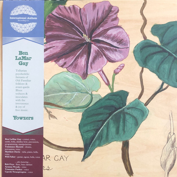 Ben LaMar Gay - Yowzers | International Anthem Recording Company (IARC0097)