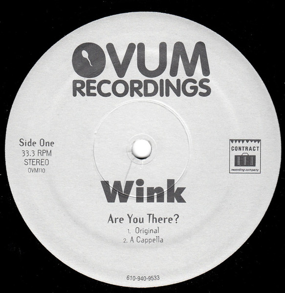 Josh Wink - Are You There ? | Ovum Recordings (OVM110) - main
