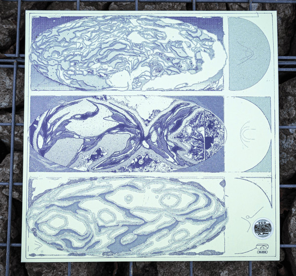 Fan Club Orchestra - VL_Stay | 12th Isle (ISLE018)