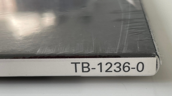 Everlast - Whitey Ford Sings The Blues (2LP - 25th Anniversary) | Tommy Boy (TB-1236-1) - 4