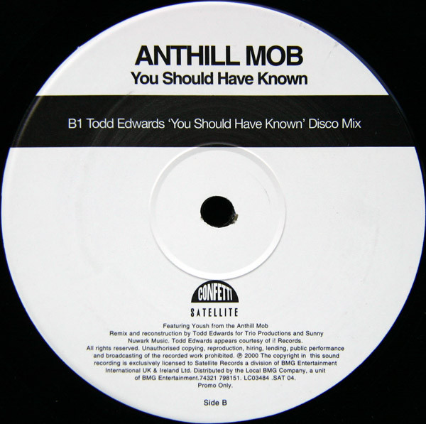 Anthill Mob - You Should Have Known (Todd Edwards Remixes) | Satellite (SAT 04) - 2 Anthill Mob - You Should Have Known (Todd Edwards Remixes) | Satellite (SAT 04) - 2