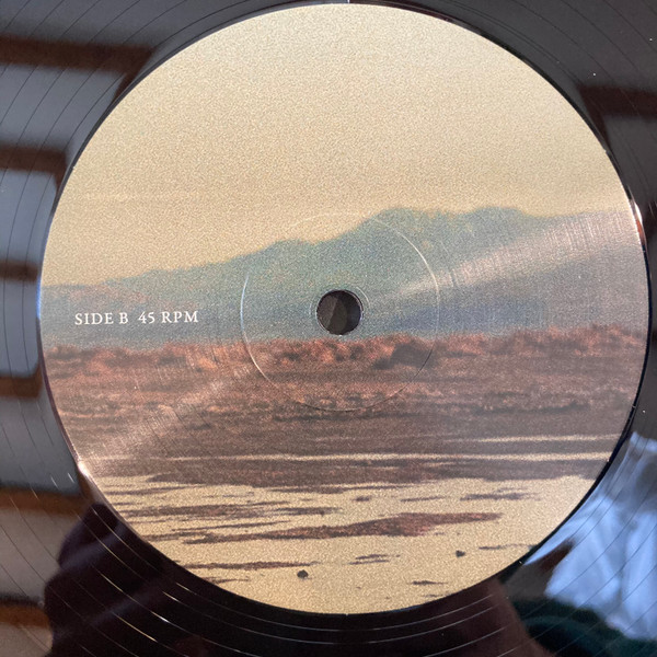 Phoebe Bridgers & Rob Moose - Copycat Killer | Dead Oceans (DOC245) - 4