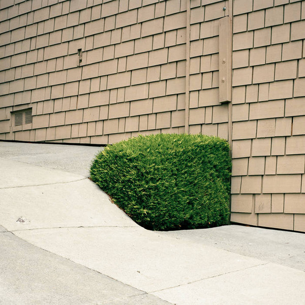 Ezra Feinberg - Soft Power | Tonal Union (TU006LP) - main