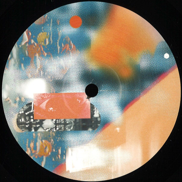 Data Memory Access , DJ Tjizza , Shaque - PICNIC005 EP | Picnic Records (PICNIC005)