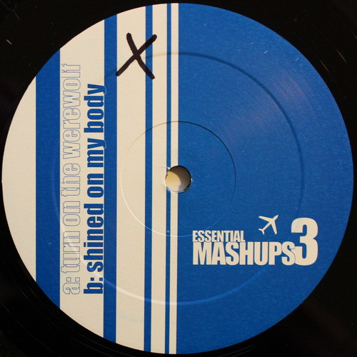 Unknown Artist - Turn On The Werewolf / Shined On My Body | Not On Label (EssentialMashups3) - 2