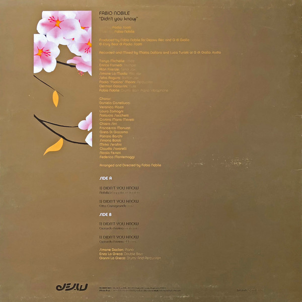 Fabio Nobile - EP Vol.3 - Didn't You Know | Dejavu (djv 3000016) - 2