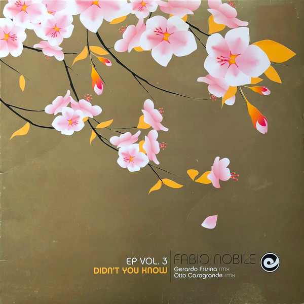 Fabio Nobile - EP Vol.3 - Didn't You Know | Dejavu (djv 3000016) - main