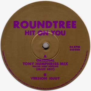 Roundtree - Hit On You | Discfunction (DIS030)
