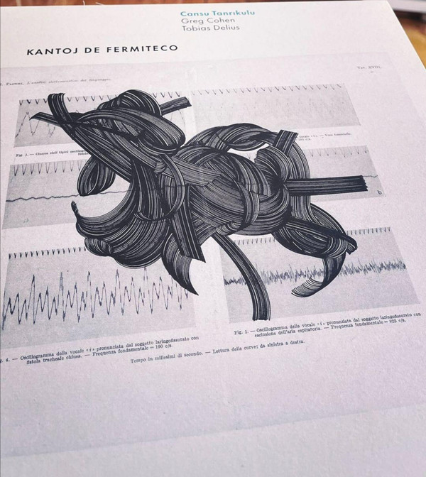 Ayşe Cansu Tanrikulu , Greg Cohen , Tobias Delius - Kantoj De Fermiteco | LowSwing Records (LOSW007) - 2